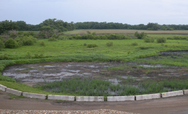 Wetland Restoration IMI Kewanna Plant